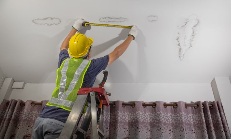 Accent Wall Painting in Kansas City, KS
