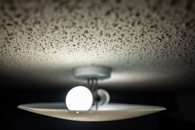 Popcorn Ceiling Repair in Waco, TX